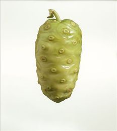 p政府以租代征的几种形式