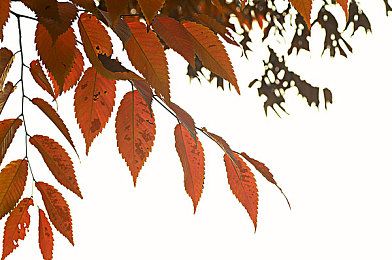 p武汉天地盛荟已售罄p